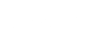 logo logicommerce