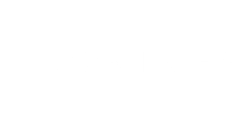 logo data seekers landing