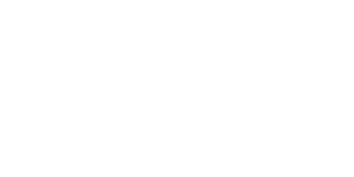 logo reskyt landing
