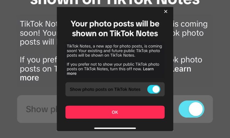 Pop-up alert of TikTok Notes