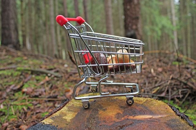 Carrito en miniatura sobre un tronco, contiene setas, rodeado de bosque. Exploración de mercado y creatividad en espacios naturales.