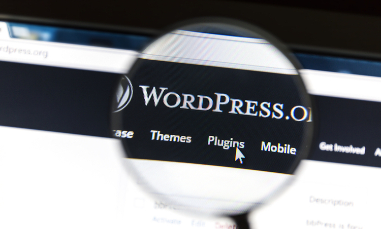 wordpress-seo