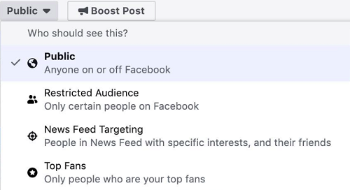 Opciones de segmentaci&oacute;n de audiencia en Facebook, destacando opciones como "P&uacute;blico" y "Fans Principales", ideales para marketing digital. Texto: "Public, Restricted Audience, News Feed Targeting, Top Fans."