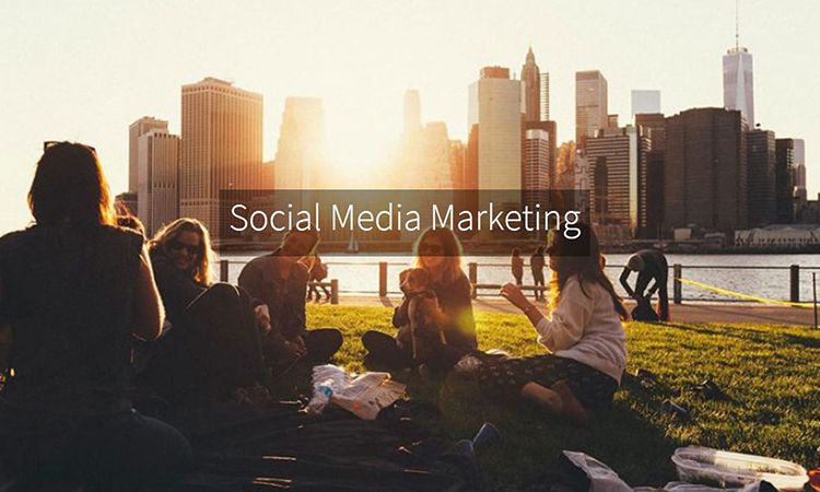herramientas para programar en Instagram