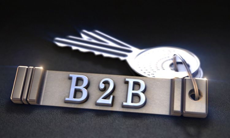 Para qué quiero un eCommerce B2B, si tengo vendedores