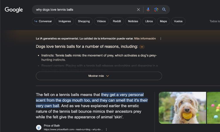 B&uacute;squeda de Google sobre por qu&eacute; los perros aman las pelotas de tenis. A la derecha, un perro con una pelota amarilla en la boca sobre c&eacute;sped.