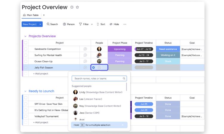 Interfaz de gesti&oacute;n de proyectos con una lista de tareas, fases, tiempos y estados. Colaboraci&oacute;n en equipo, planificaci&oacute;n y seguimiento visual. Texto: "Project Overview", "New Project", "Search names, roles or teams", "Hold ⌘ for a multiple selection".