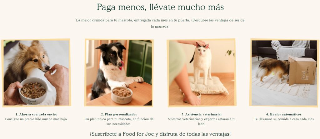 Perro y cuenco-aburrido. Perro y cuenco-interesado. Gato y humano-interacci&oacute;n. Perro y caja-descubrimiento. Texto sobre suscripci&oacute;n de comida para mascotas.